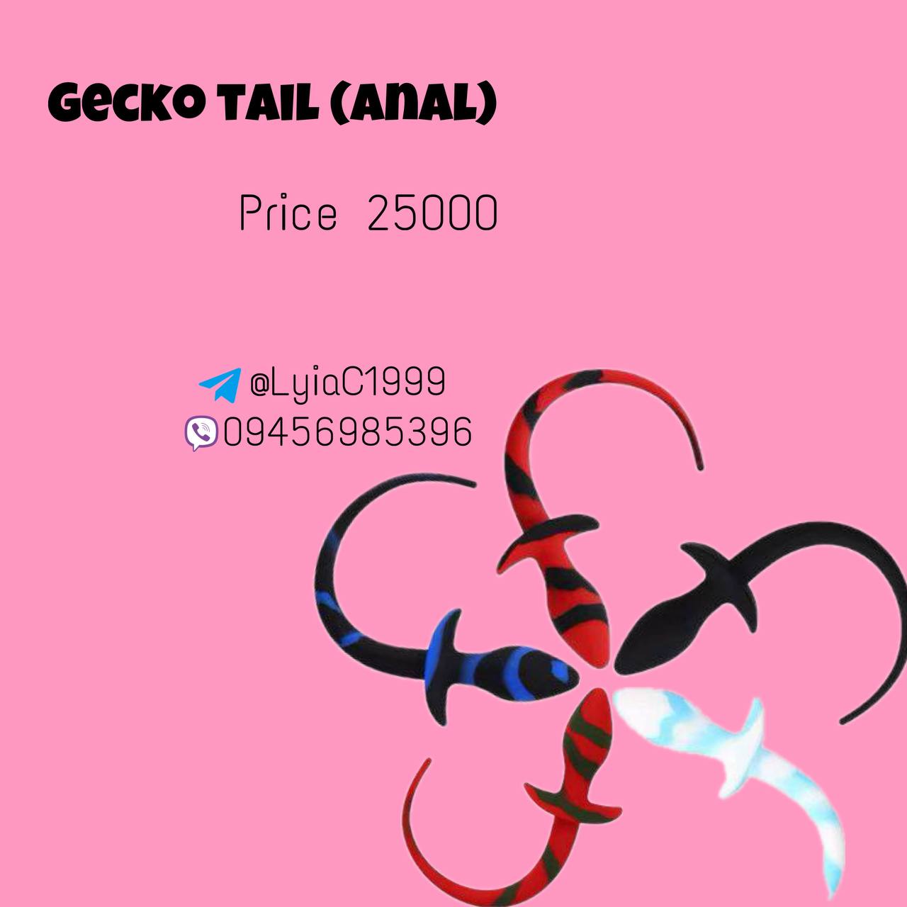 Gecko Tail ,pcs